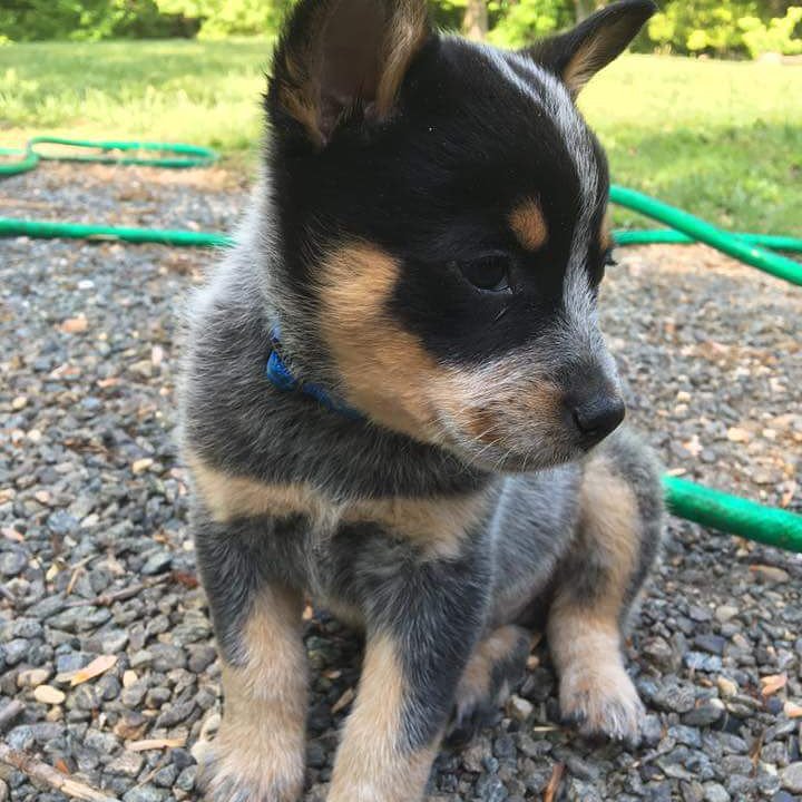 epc19111's tweet image. 