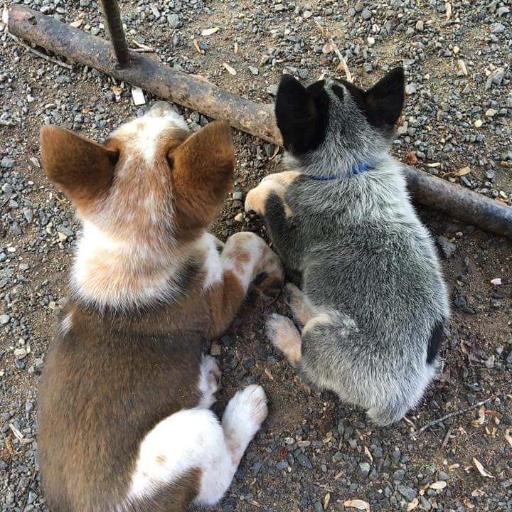 epc19111's tweet image. 