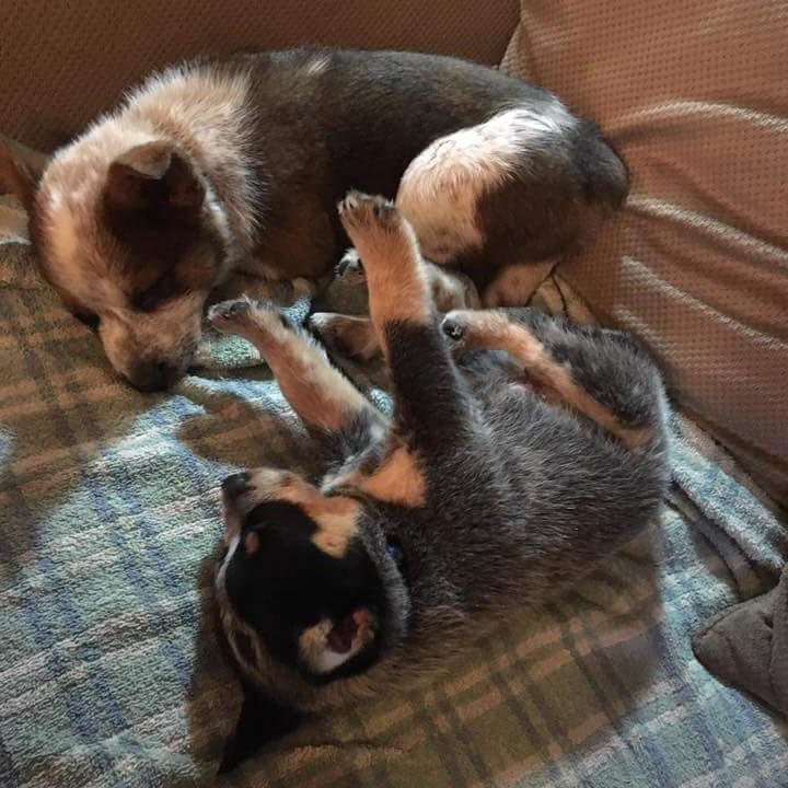 epc19111's tweet image. 