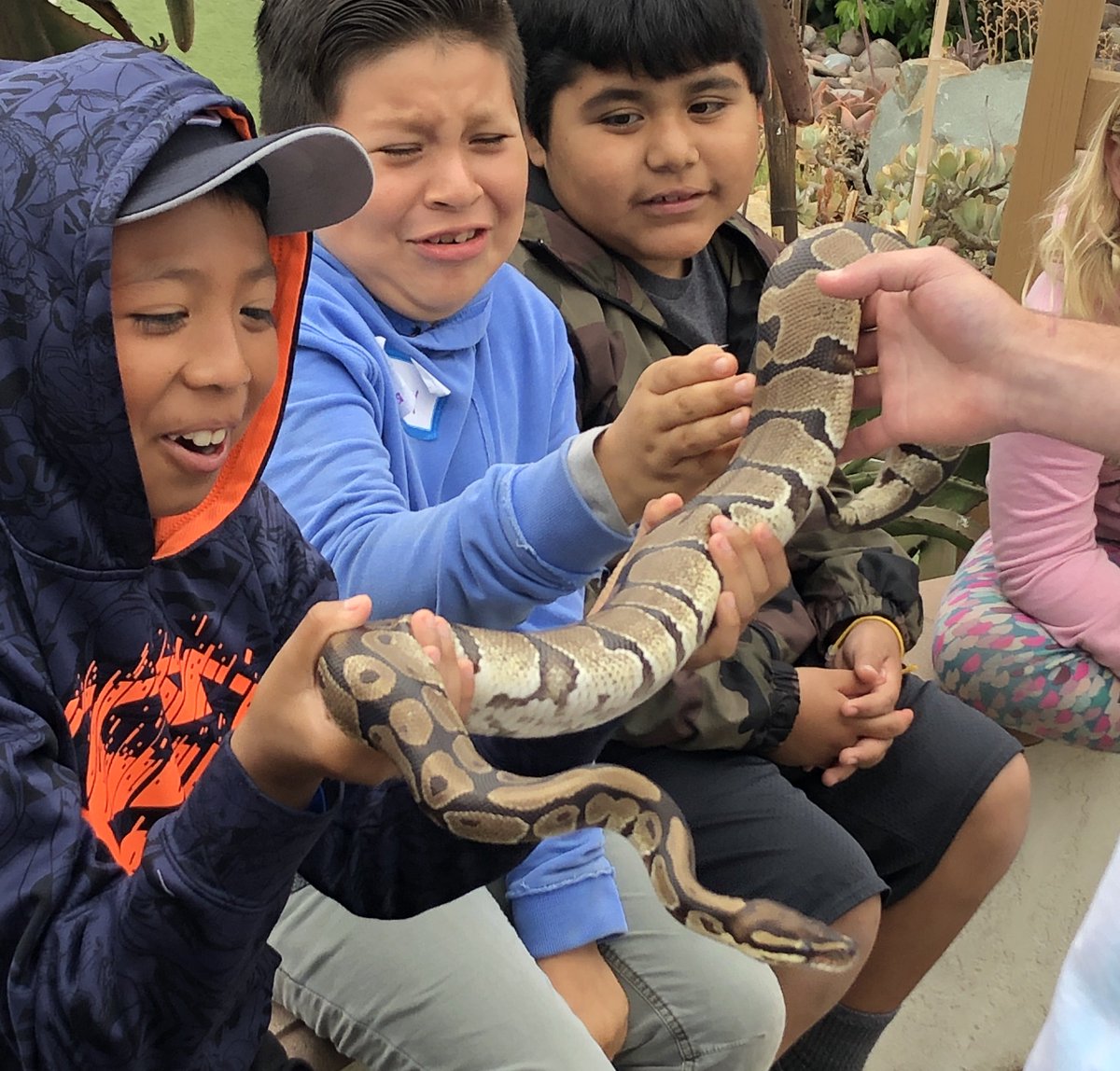 nicmcclymonds's tweet photo. Excellent day of discovery at the Agua Hedionda Lagoon learning how to «  Honor the Future » Oil spill rescue, invasive species, pollution, wolves of Yellowstone, climate change... Our Earth is in good hands with these knowledgeable, caring S’s! @ADES_SMUSD https://t.co/lC9YgFC7aS