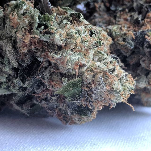 TooHighShow's tweet photo. Some #nugporn here! Beautiful shot of that #frosty #PinkGas from @thevenomextracts710

#weedporn #nugporn #instaweed #yeg710 #yeg420 #edmontoncannabiscommunity #weedmonton #yegstoners #bcbud #venomsquad #frostyaf #budstructure #nugs #albertastoners #smok… https://t.co/2cRlvVdnq6 https://t.co/vFwoEsdQe6