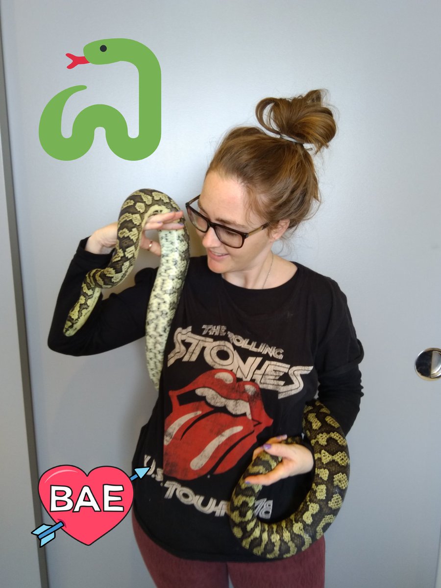 Summer Dolittle tweet media