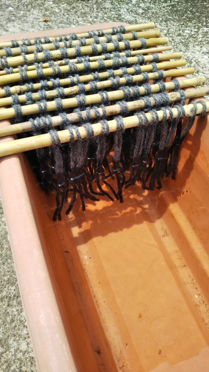 のじゃこ メダカの産卵が進んでいます 私は主にプランターで親メダカを飼育していますが 水草の代り に河原で取ってきた篠竹 細い竹 に毛糸をぶら下げ そこに産卵させています 採卵出来たら孵化用のプランターに移し孵化を待ちます メダカの卵 のじゃこ メダカの産卵が進んでいます 私は主にプランターで親メダカを飼育していますが 水草の代り に河原で取ってきた篠竹 細い竹 に毛糸をぶら下げ そこに産卵させています 採卵出来たら孵化用のプランターに移し孵化を待ちます メダカの卵