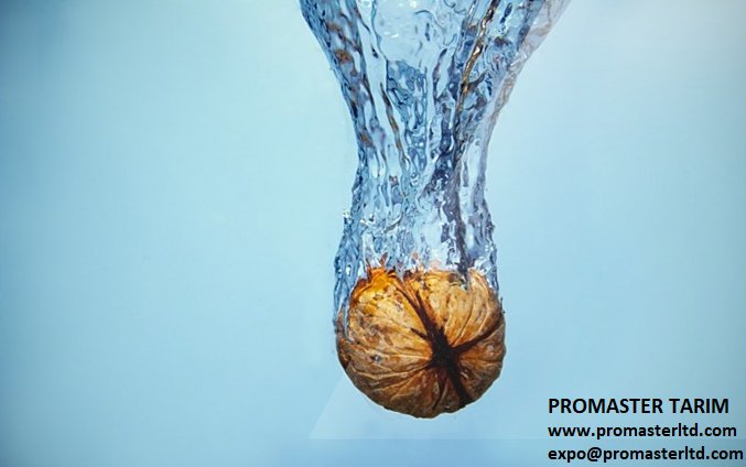 PromasterTarim's tweet image. Ceviz suyunun faydaları;
5-Ceviz suyu depresyonla mücadelede en büyük yardımcılarınızdandır, ceviz suyunu düzenli tüketerek kendinizi daha mutlu, huzurlu hissedersiniz.

promasterltd.com