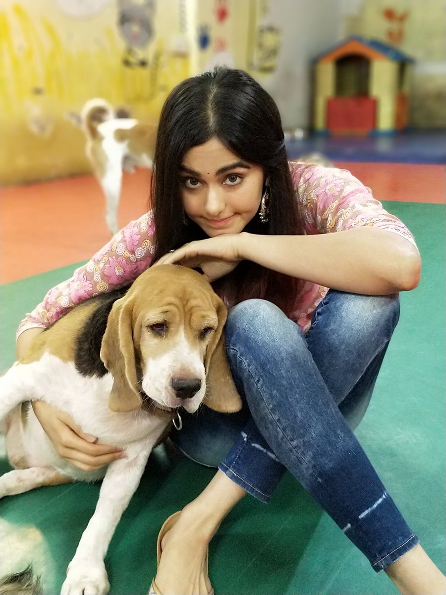 Adah Sharma tweet media