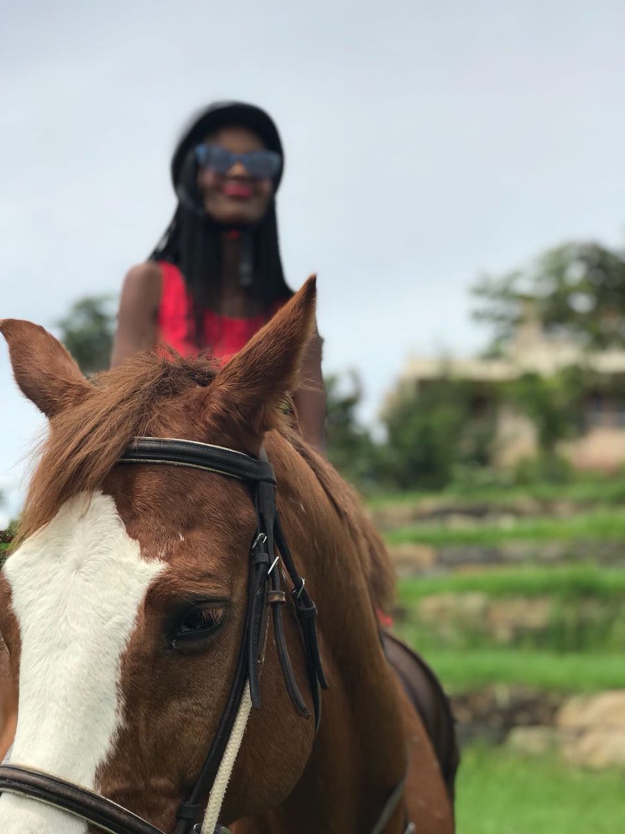 ATSTravelKe's tweet photo. If your looking for weekend plans then nothing beats the calm and beauty of Nanyuki. Call 0735331465 today for more information #susankaittany @kot @MaiyanNanyuki @MagicalKenua #TembeaKenya #DigitalManenos #ATSAT20 #ATSTravelKe https://t.co/cP986akxiO