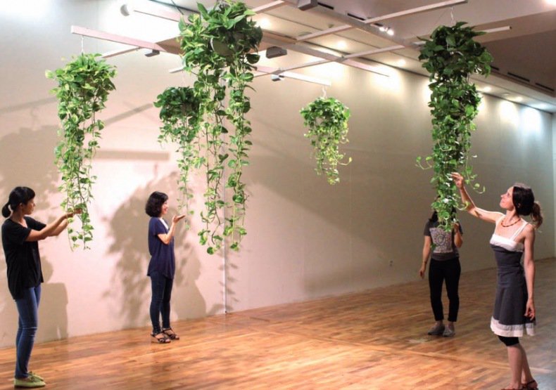 Les Nouvelles Publications tweet media