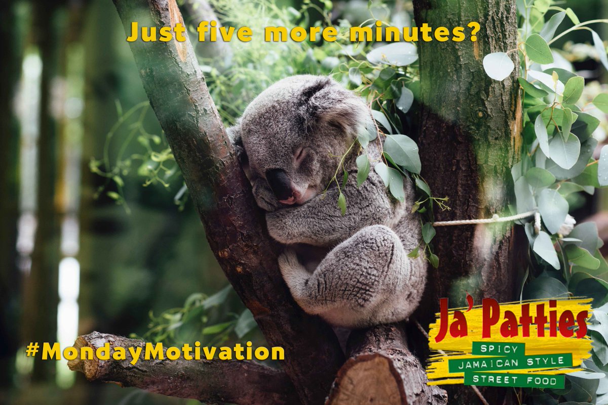 Can't get your engine running? Here's a bit of #MondayMotivation for you - our delicious Ja'Patties come in three big flavours and are waiting for you this lunchtime 😀