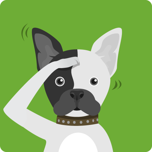 dogs_central's tweet photo. How to #train your #dog in 9 easy steps.

https://t.co/kQdT2vezgb https://t.co/SubYraz5lK