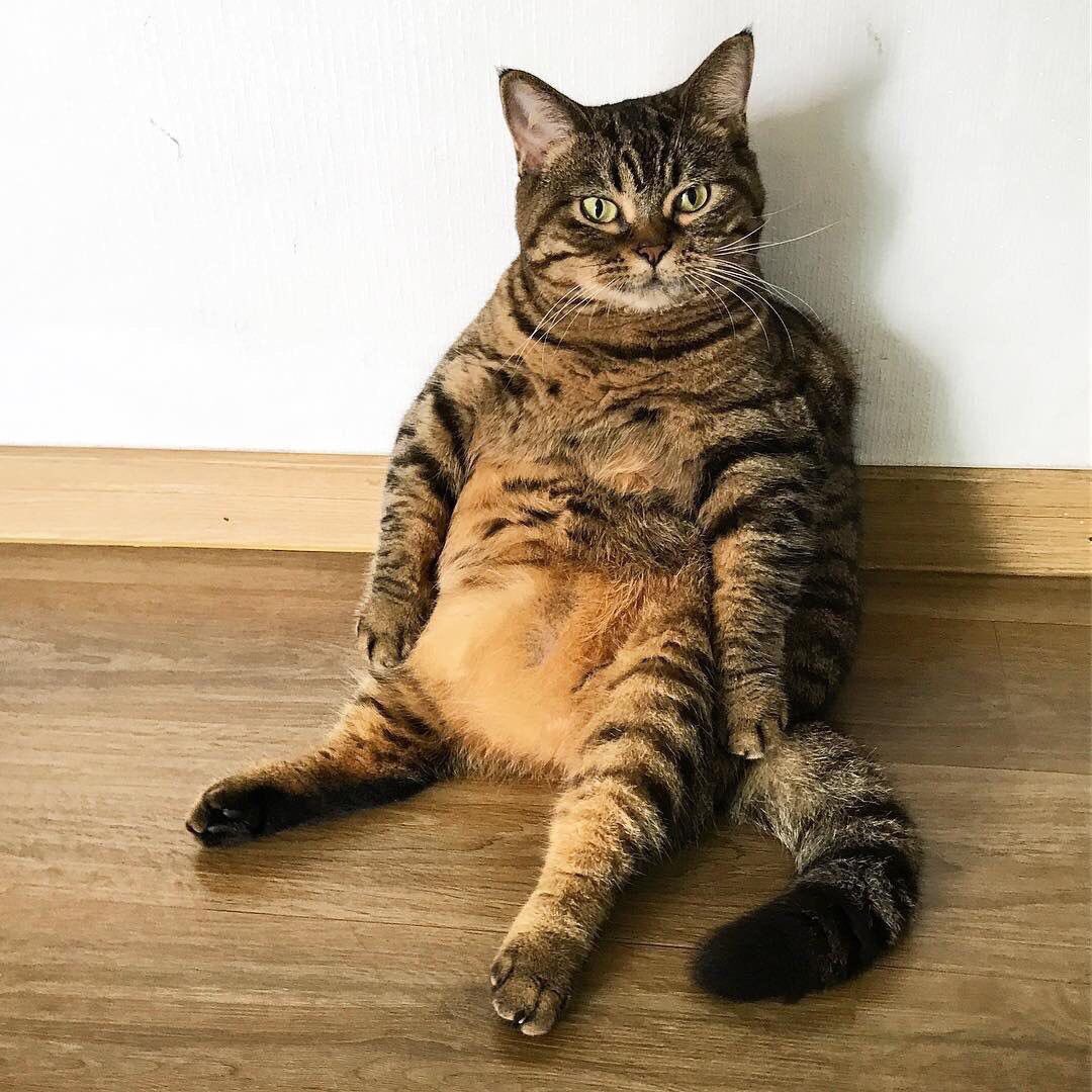 <a href="/Calum5SOS/">Calum Hood</a> <a href="/Luke5SOS/">Luke Hemmings</a> Just waiting here in my hotel room