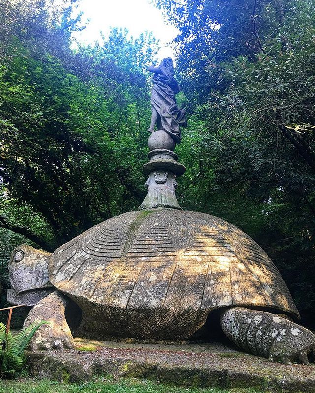 🐢 #turtles #goodmorning #park #bomarzo #italy #green #trip #travel #visting #stone #sculpture #travelphotography #travelphotography #viaggiare #viaggiaresempre #siviaggiare_italia #igersitalia #igersroma #viaggiareinitalia ift.tt/2r8i8vl