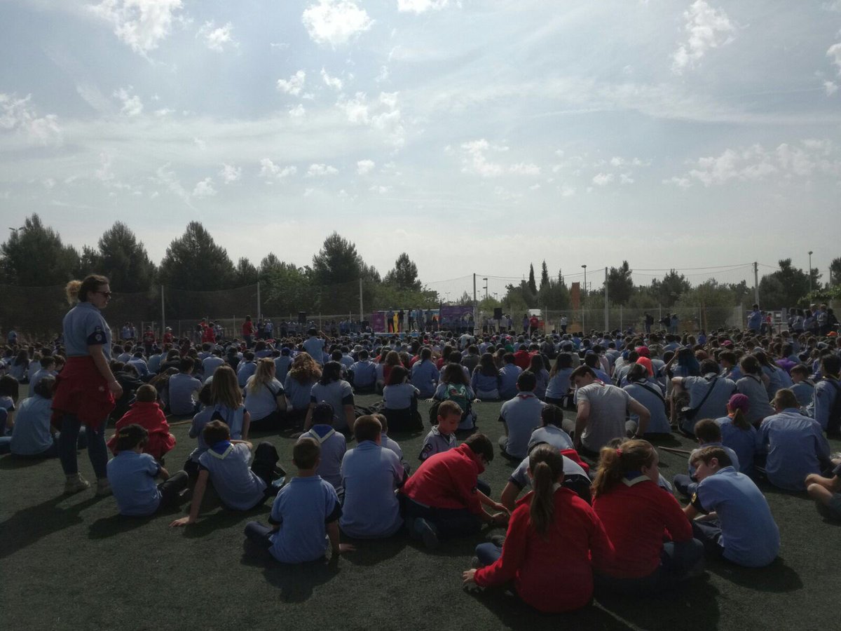 Grup Scout La Nucia tweet media