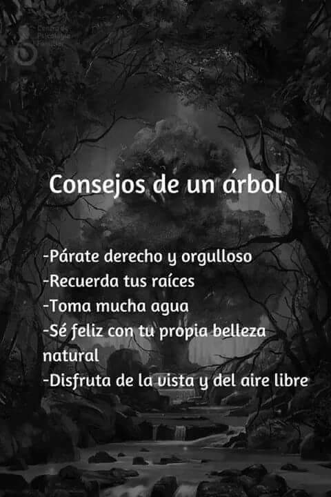JosuTZ's tweet photo. @analorenasm 🤔😯 https://t.co/Ed5lquzlVS