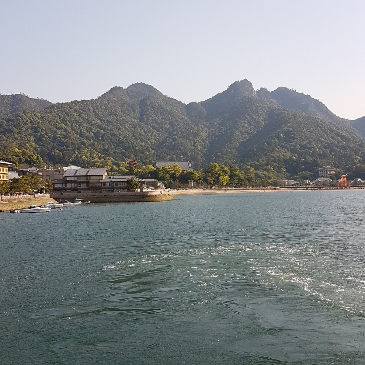 Antni92's tweet photo. Miyajima 😍 https://t.co/oewv9AwP3s