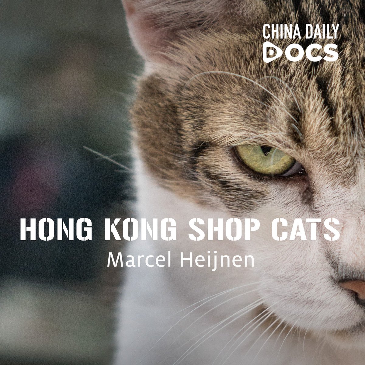 China Daily DOCS tweet media