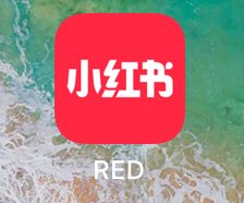 𝑨𝑸𝑼𝑨-𝑺𝑸𝑼𝑨𝑹𝑬 🐳 tweet media