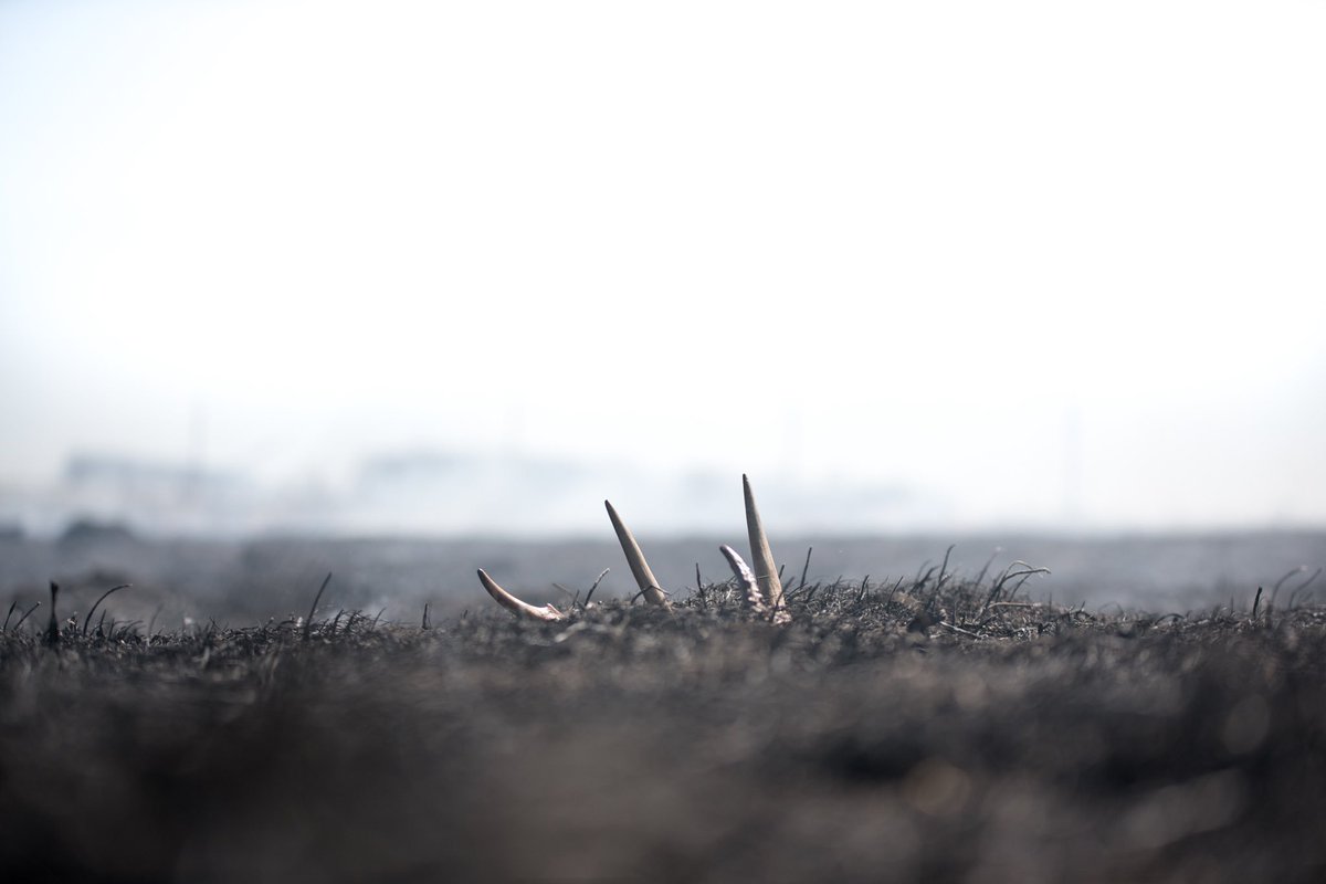 Mathews_Archery's tweet photo. A burn day bonus for Dawson Rasmusson.
Location | Iowa
#mathews https://t.co/FCBuD6f84q