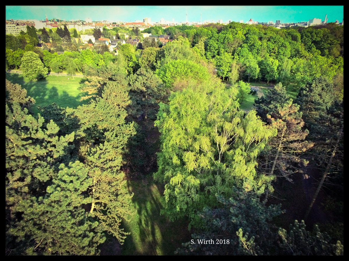 wirthstef's tweet photo. #Park #landscape with #Berlin #skyline. #April 2018. Copyrights #Stefan #F. #Wirth
#drone #quadcopter #flying #airperspective #birdperspective #Breeze #yuneec #forest #photography #landscape #flyingcamera #trees #treetrunks #forestground #woods #mixedforest #urbanpark #artwork https://t.co/7OFigRNJJA