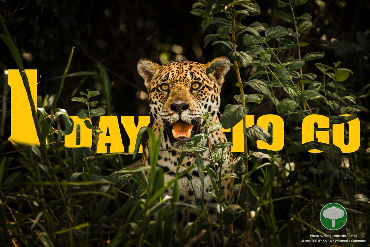 1 day to go...... Wiki Loves Earth 2018...

More details:
commons.wikimedia.org/wiki/Commons:W…

Picture credit: Leonardo Ramos/CC-BY-SA 4.0/Wikimedia Commons

#WLE #WLE2018 #WIKIPEDIA <a href="/Wikipedia/">Wikipedia</a> <a href="/WikiCommons/">Wikimedia Commons</a>