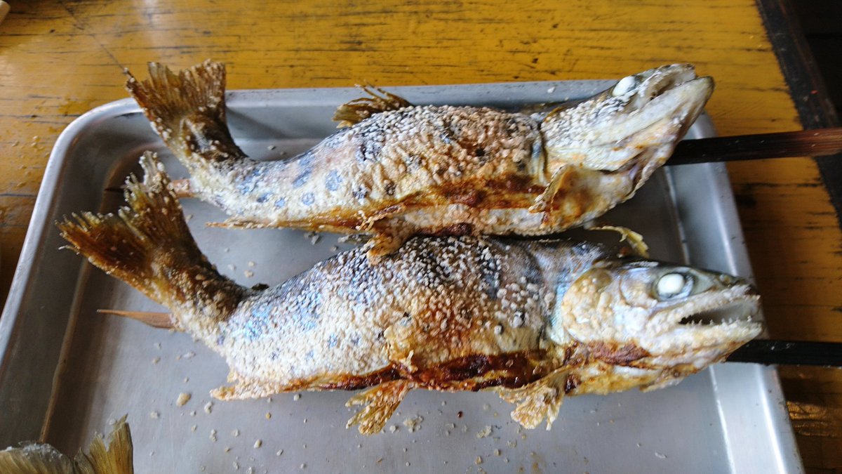 Twitter पर Maboux 鮎 やまめの塩焼き 地鰻重 相変わらず絶品です 何回も来てるけど家族連れて来たのは初めて 笑 皆感動してくれました 栃木県日光市大渡 船場亭 やな 一人4匹食べた 鬼怒川 日光東照宮は混んでて無理 生ゆば買った Twitter पर Maboux 鮎 やまめの塩焼き 地鰻重 相変わらず絶品です 何回も来てるけど家族連れて来たのは初めて 笑 皆感動してくれました 栃木県日光市大渡 船場亭 やな 一人4匹食べた 鬼怒川 日光東照宮は混んでて無理 生ゆば買った