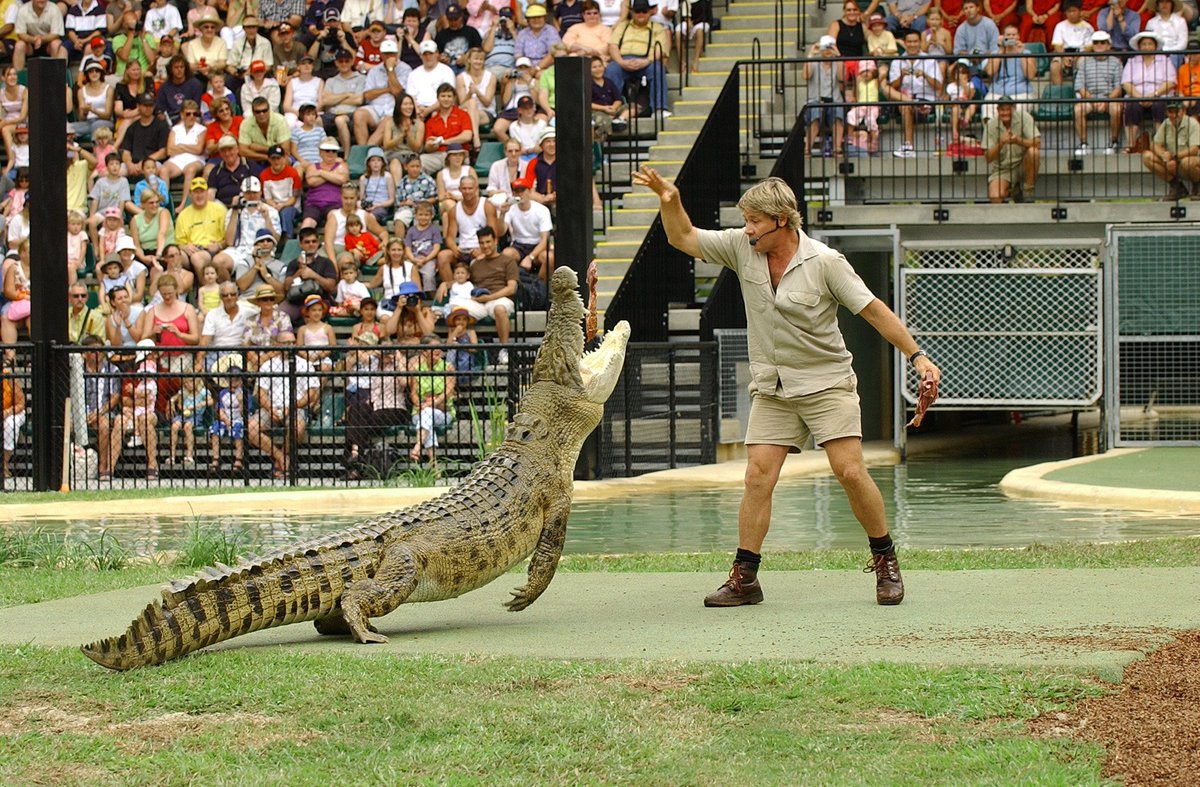 Steve Irwin immortalised on the Hollywood Walk of Fame <a href="/AustraliaZoo/">Australia Zoo</a> <a href="/sunshinecoastoz/">Visit Sunshine Coast</a> <a href="/TerriIrwin/">Terri Irwin</a> <a href="/OfficialWalkApp/">Walk of Fame App</a> 
#walkoffame <a href="/Hwood_Blvd/">Hollywood Blvd.</a> #SteveIrwin ausleisure.com.au/news/steve-irw…