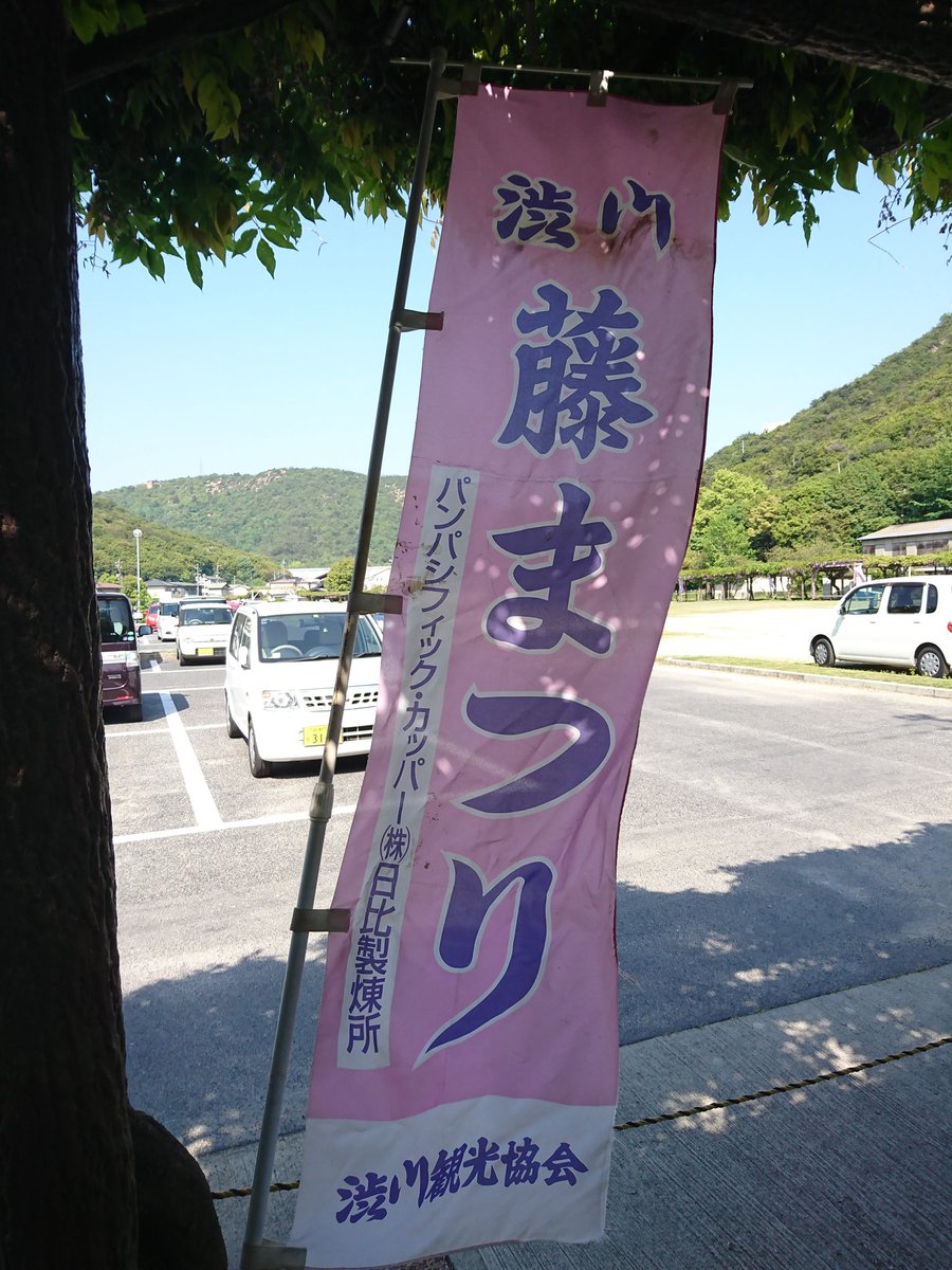 渋川藤まつり 渋川藤まつり