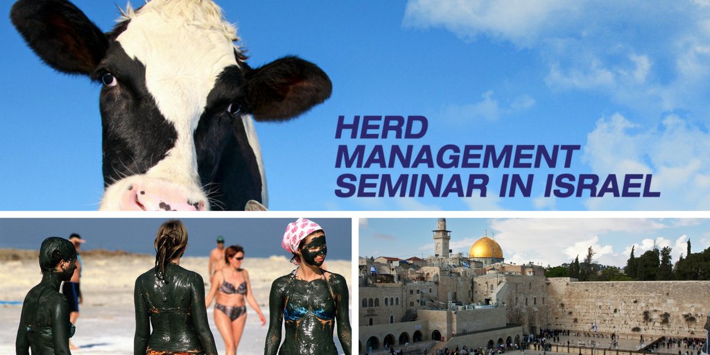 Learn about #advanced #Dairy #Herd #Management in #Israel and Enjoy a Superb Israeli Experience