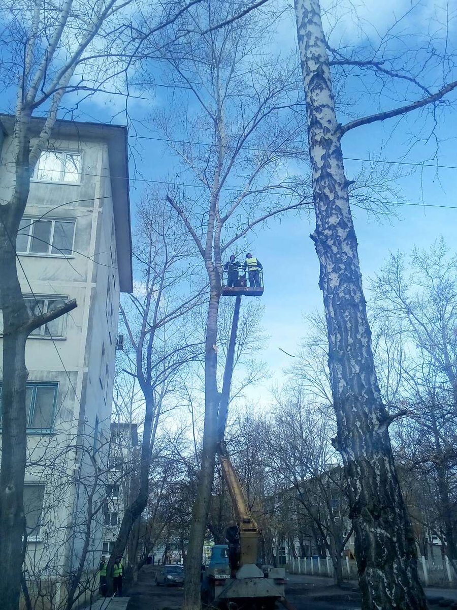 УК АЛЬТЕРНАТИВА на доме произвела спил аварийных деревьев!!!!!!