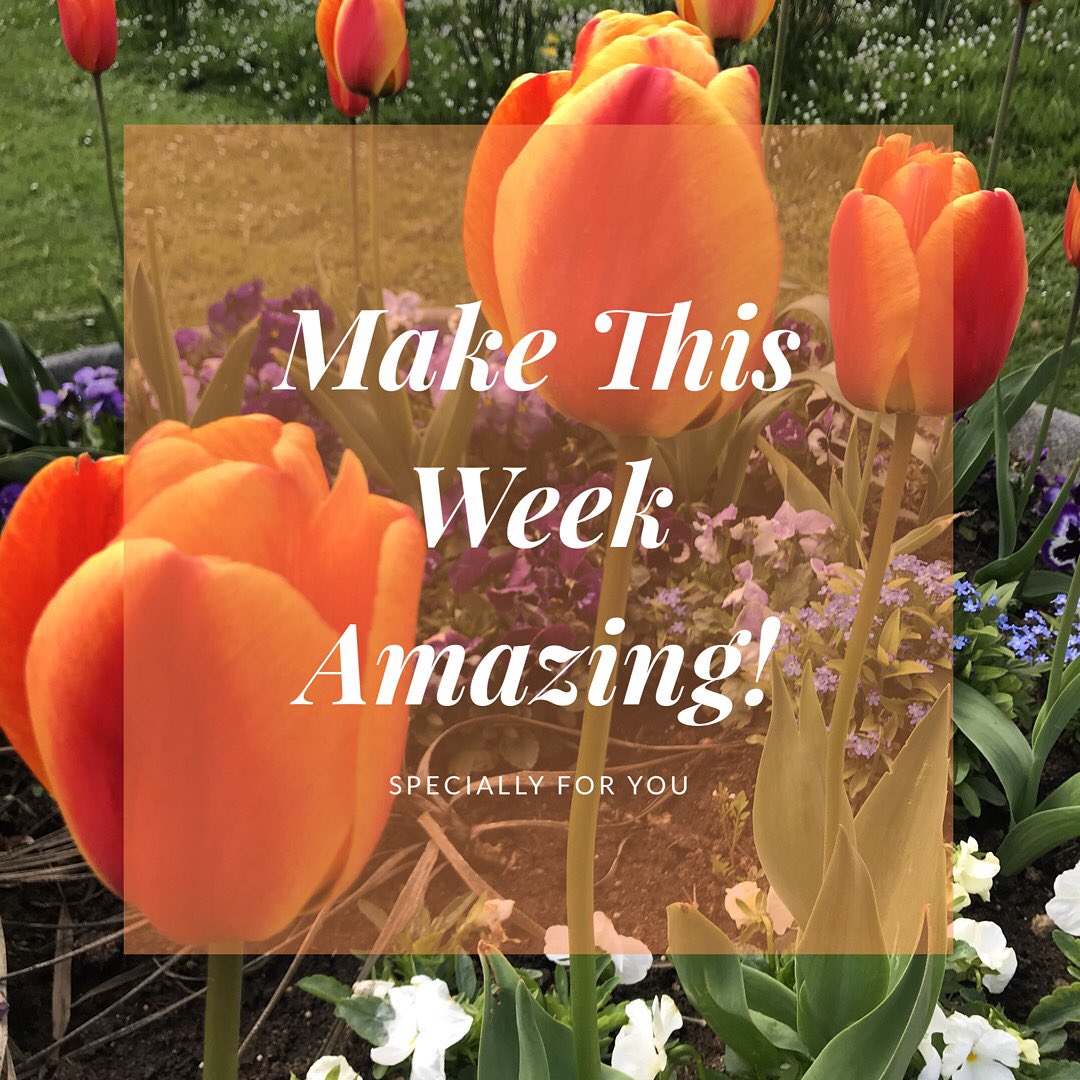 speciallyforu1's tweet photo. Happy Monday Everyone 🤗 Hope you all have a beautiful week. Treat each day as a new day for new goals and a new beginning ✨ #MondayMotivation https://t.co/6wlSoOYHZu
