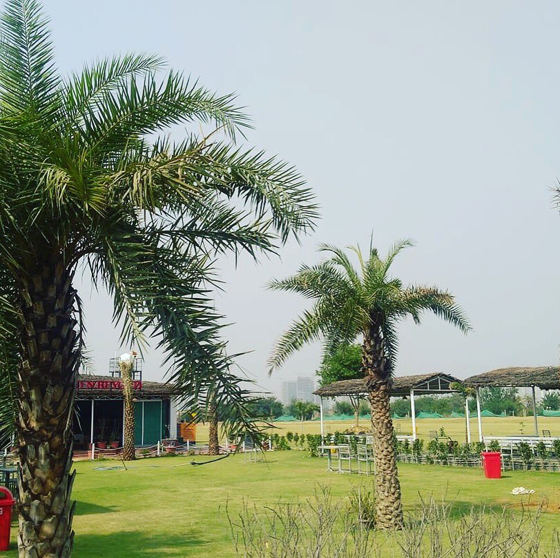 Games Forest tweet media