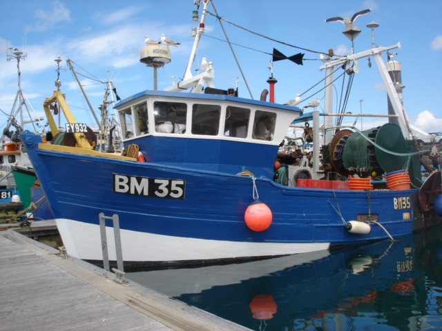Monday 30 April - good morning all. In today we have: Hake, Megrim Sole, Cod, Haddock, Gurnard and Witch Sole  

The Shiralee has provided our megrim sole this morning