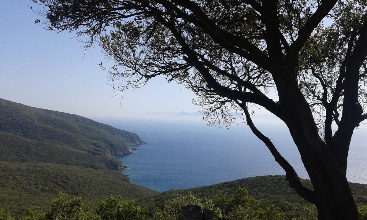 Ieri a #Populonia : l'unica città etrusca sul mare! Il Golfo e il mare qui stupendi. Archeologia e natura che ti rigenerano. Ci siete mai stati qui?
Ieri qui per #MiRasna per <a href="/EGameApps/">EGameApps</a>