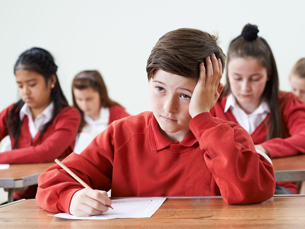 biglife_project's tweet photo. Chief executive of charity nasen @AdamBoddison believes that the narrowing of the curriculum – such a reduction in #citizenship and personal, social, health and economic (PSHE) education – may have contributed to children's #mentalhealth issues. #PSHE
https://t.co/w2xNR2IKYT https://t.co/bMKTNdZkeD