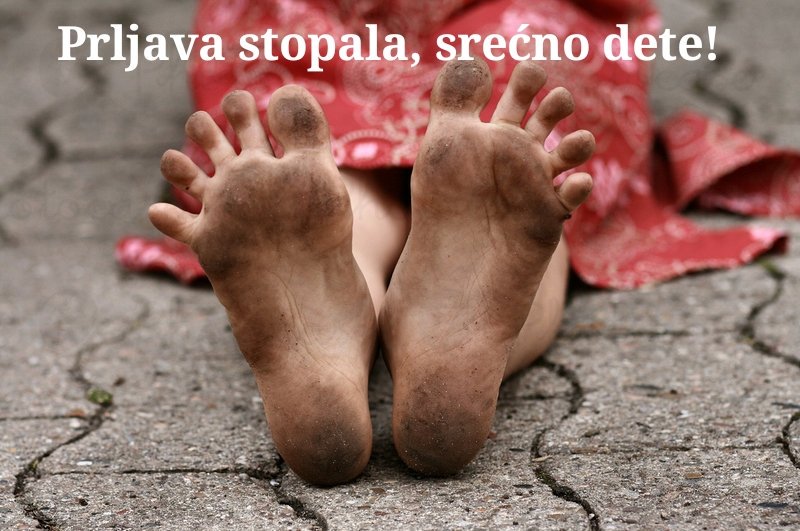 Tirsova's tweet photo. Praznik i lepi dani su pravo vreme za prirodu. Isprljajte stopala sa svojim mališanima i uživajte u slobodnim danima 🍀🌿🐞🌳🌱
Vaša Univerzitetska dečja klinika Tiršova https://t.co/H3lDiaiMYw