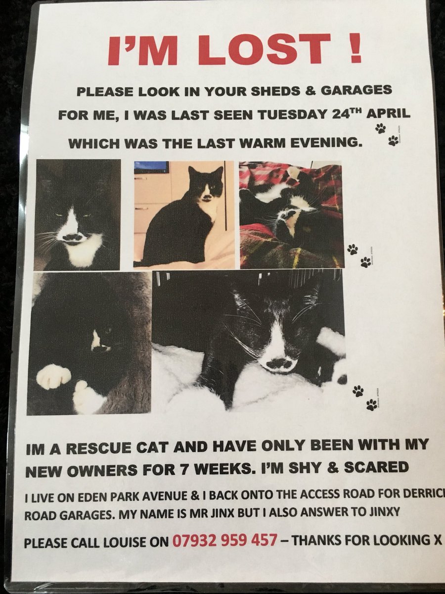 mlol2000's tweet image. @Beckenham @BranchingOutBR3 @mvprimaryschool @southofriver