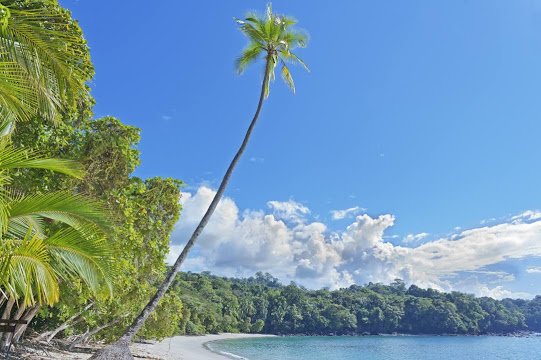 Capitalist Club tweet media