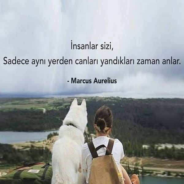 Sınanmadığınız acılar üzerine konuşmayın. 😔