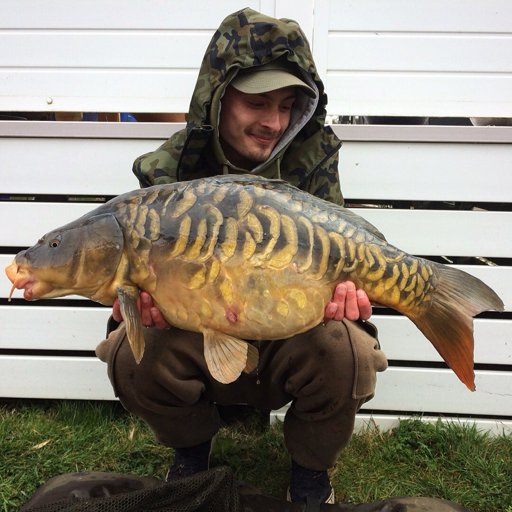 JDubiard's tweet photo. I need to get back out there 🧐 #scaleybanger #inandout #stickybaitsoffical https://t.co/rTjyzTEMhj