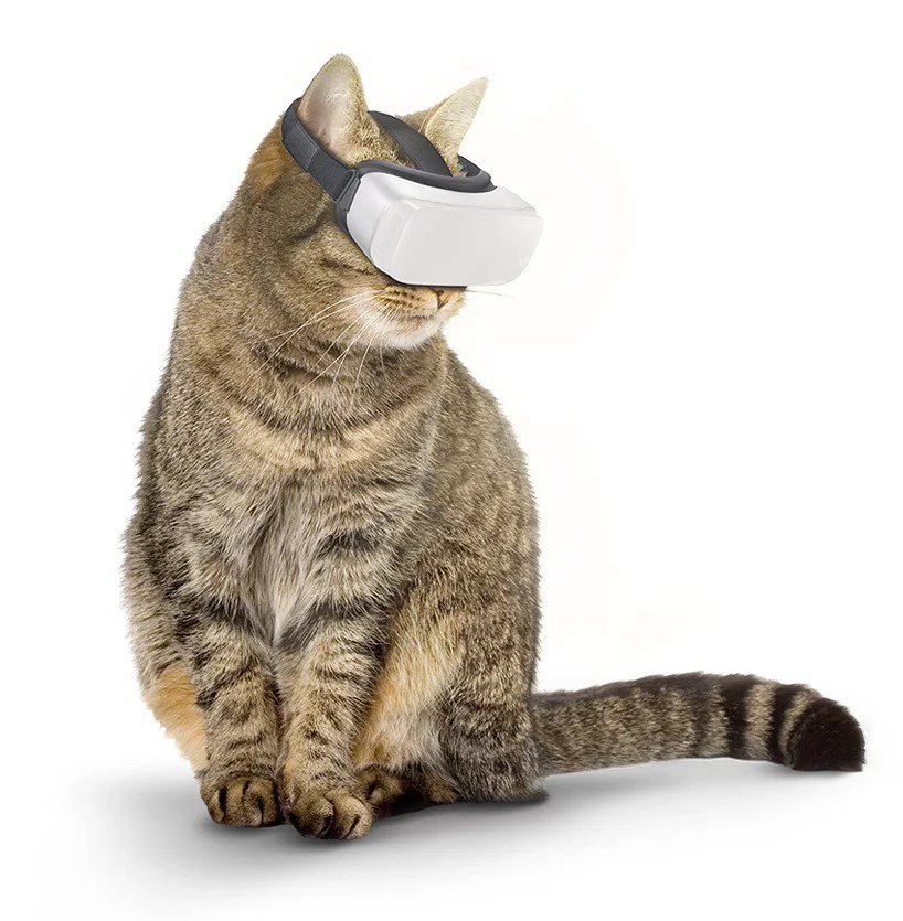 AI__TECH's tweet image. Cat #VR: Feline Virtual Reality Technology Aims to Amuse Animal Companions j.mp/2jh2Wbv