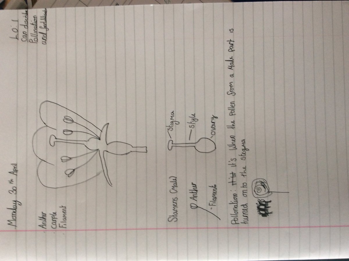 Year 5 @BMS tweet media