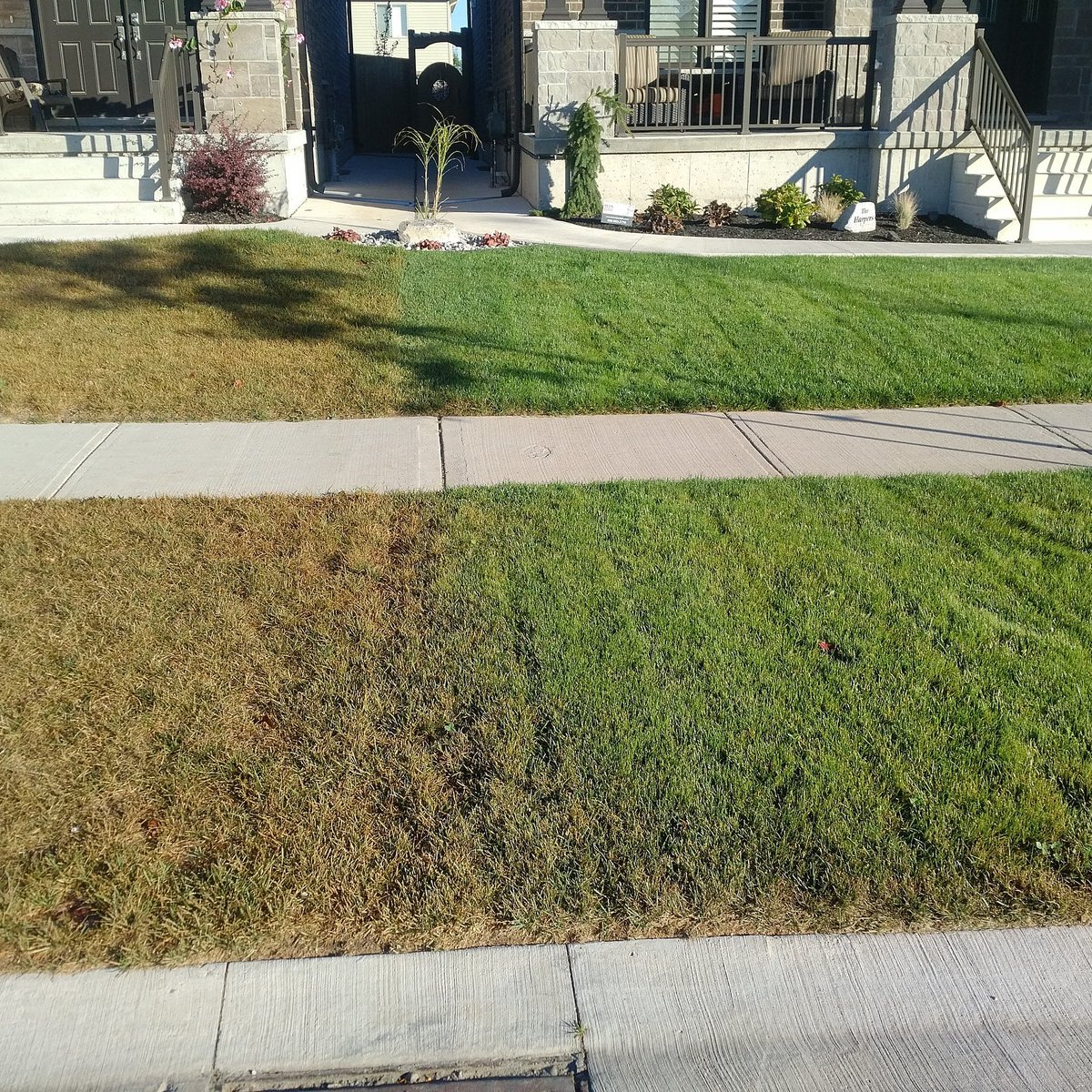 MountviewLand's tweet photo. Be the envy of the entire neighbourhood this year with an irrigation system from Mountview Landscaping. 
https://t.co/4VHYpYeIG4 https://t.co/TDHr0c2Lh0