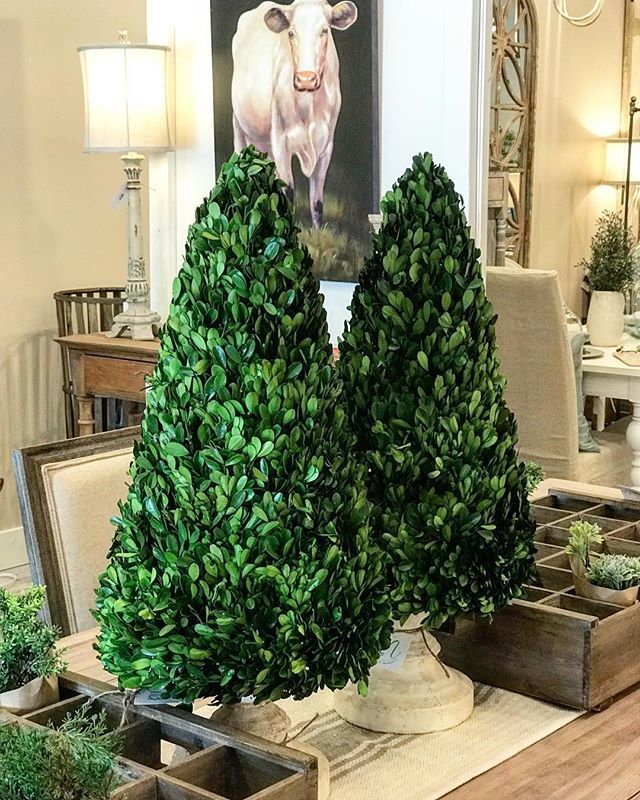 TheRusticMarket's tweet photo. We love bringing the “outside” in with a pop of greenery! Our new boxwood topiaries do just that!
#shoplocal #shoptherusticmarket #igotitatthemarket #instadaily #instagood #markethome #homedecor #interiordesign #loveyourspace #loveyourhome https://t.co/7YqVo7sQDq