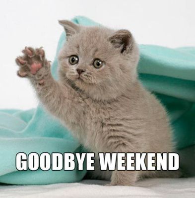 ParksideLtd's tweet photo. Can you guess what day it is?
The only Monday of the Month that EVERYONE likes because its PayDay.
Happy Monday everyone #MondayMotivation #MondayMorning #payday https://t.co/rwCq9O0cuU