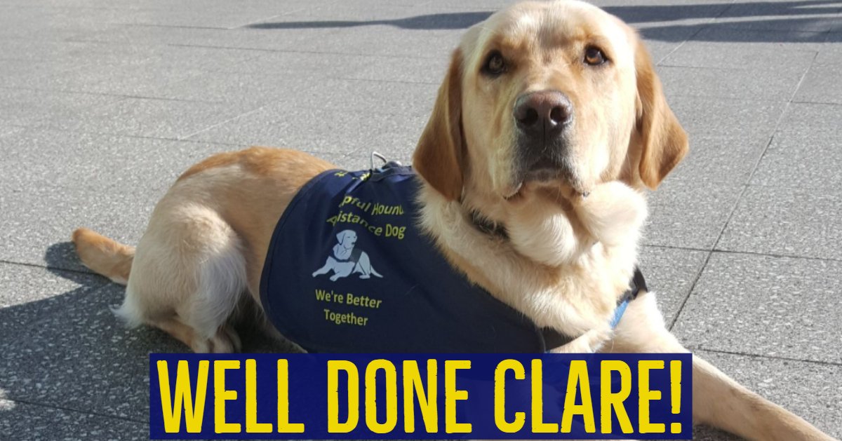 We want to wish a very belated well done to Clare for running the #LondonMarathon to raise a whopping £1658 for #HelpfulHounds! We look forward to working with you and your family in the future!
#marathonrunner #assistancedogs #downsyndrome