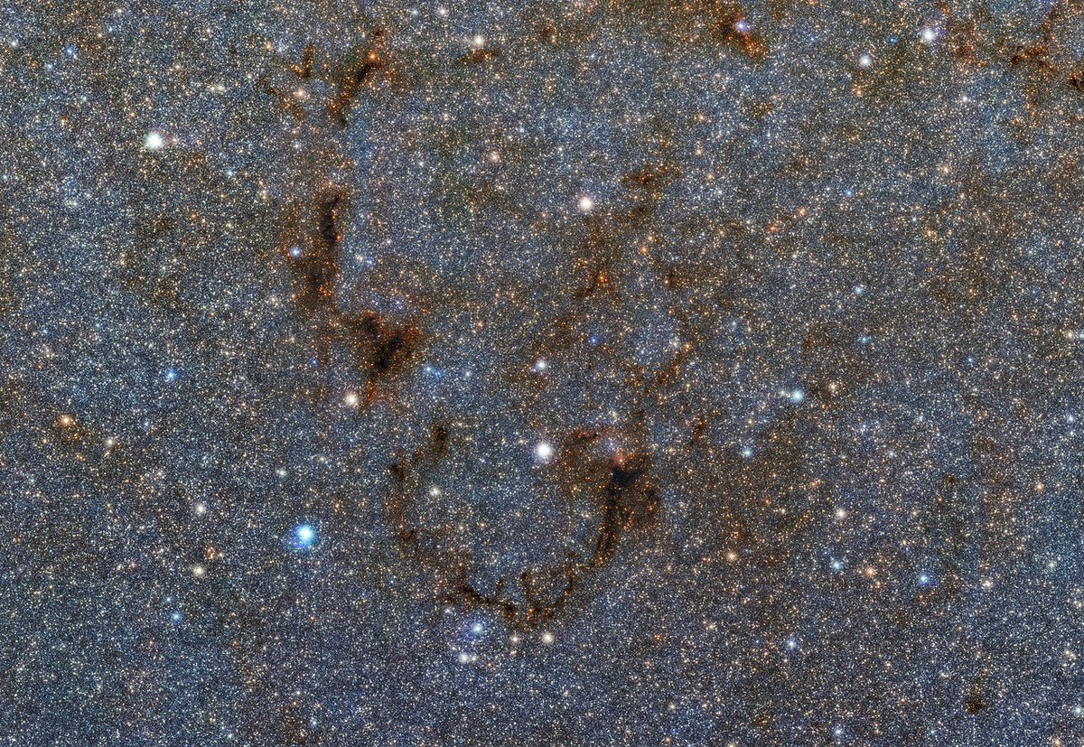 ESO_Ireland's tweet photo. A small portion of a gigantic gigapixel colour mosaic of the Milky Way's heart. Full image contains almost 9 billion pixels &amp; was taken by @ESO ’s #VISTA telescope. Explore at the link: https://t.co/IPRt0urVUk https://t.co/qDyEQPKZBp