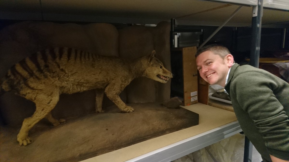 I_Cavadino's tweet photo. Fabulous visit to @LeedsMuseums discovery centre/stores on Friday for #NatSCA2018. Beautifully organised chaos. My favourites were the half taxidermy half skeleton specimens! https://t.co/zrIeSZO9LK