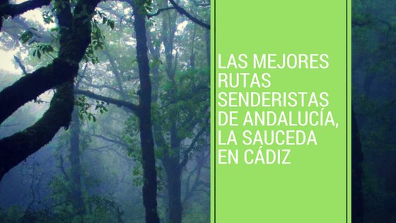 Buenos días, #FelizLunes ¿Quieres conocer un lugar único en #Andalucía?  <a href="/ViajarAndalucia/">Viajeros x Andalucía</a> <a href="/MyFamPassport/">My family passport</a> <a href="/mola_viajar/">MolaViajar</a>  Sendero de La Sauceda entre #Málaga y #Cádiz  dlvr.it/QRDkXK