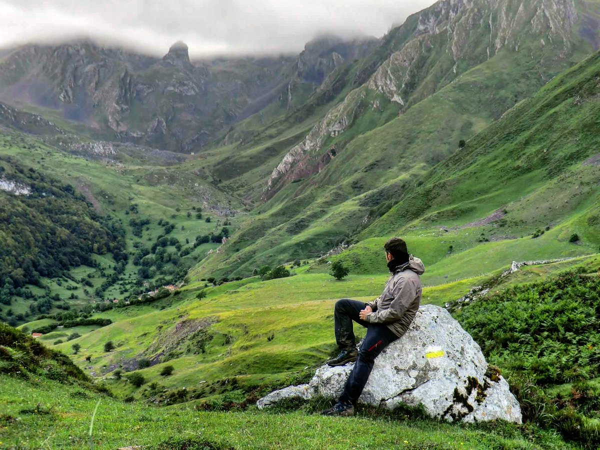 sendadelhayedo's tweet photo. Cuando nos demos cuenta que el mejor embalse es un bosque mixto Cantábrico, un eterno ñeveiru, un llamargo a rebosar... mejor que un pantano aniquilador de valles y pueblos... Habremos dado un paso en la evolución 🐾🌳🌲 #riosvivos #ecologia #natureMW #savetheplanet #BuenLunes https://t.co/taBEP406qb