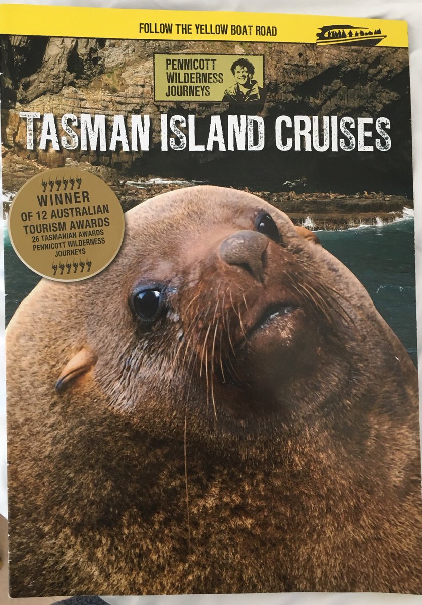 Brandon Presser tweet media