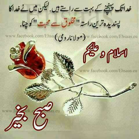 <a href="/Gaisma8/">Ilona Garkaja</a> <a href="/taxi_ede/">VIEdeTAXI</a> <a href="/kFhwGu6i0e15Gq4/">بلبل ولدالأحساء🇸🇦💞👑</a> <a href="/ZyaSlF93mCXULp5/">شيخ محمد الطائي</a> <a href="/zyada4/">zyada</a> <a href="/zurupeto35/">OSCARMATA</a> <a href="/osmanbo49799311/">osman bozkurt🌹🌹🏵</a> <a href="/48114c6687d84f7/">naser omer</a> <a href="/semsemafandy77/">OSAMA 💖(Egyptian)          🇪🇬</a> @oymyr80 @hakkozerolu <a href="/RAJESHT28209701/">🇮🇳 राजेश 🍁🍃 सनातनी 👍हिंदू 🍃🍁🇮🇳🚩🇮🇳</a> <a href="/RajuBha04995604/">Raju</a> <a href="/Rajaram07636644/">selva  the king of positive Life</a> <a href="/deeba_saad/">saad deeba 🇵🇸</a> <a href="/SKID1144/">OLIVERESKRIDGE</a> <a href="/natureskid/">Greenleaf</a> <a href="/YNHallak/">Dr. Yaacoub Hallak</a> <a href="/YousryDiab/">yousry</a> <a href="/archikayani/">Maqsood Kayani</a> <a href="/ali_alshehhi75M/">علي الشحي</a> <a href="/thanosna2014/">🌐 Θανος 🌅</a> <a href="/robtropper/">Robert Tropper</a> @Rusty82Fields <a href="/wlsfargo/">spiro raftopoulos</a> <a href="/TAXICABria/">TAXI🚖CAB ͬ ͥ@ 🚕</a> <a href="/SergioSierra67/">il TAXI di MILANO 🚖</a> <a href="/EliteInmobiliar/">Rebel with a cause</a> <a href="/English1Maiden/">Veritatis Cupitor</a> <a href="/Emanuelnascime8/">Emanuel nascimento</a>